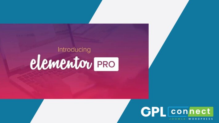 Elementor-PRO-WordPress-Page-Builder