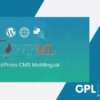 WPML WordPress Multilingual Plugin